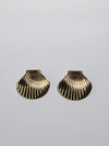 Shell-Shaped Gold Earrings