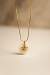 Gold Starfish Shell Necklace